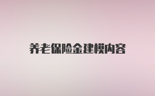 养老保险金建模内容