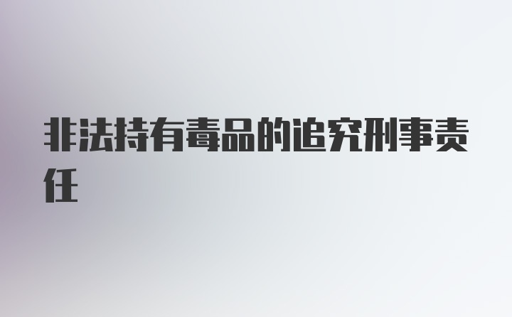 非法持有毒品的追究刑事责任