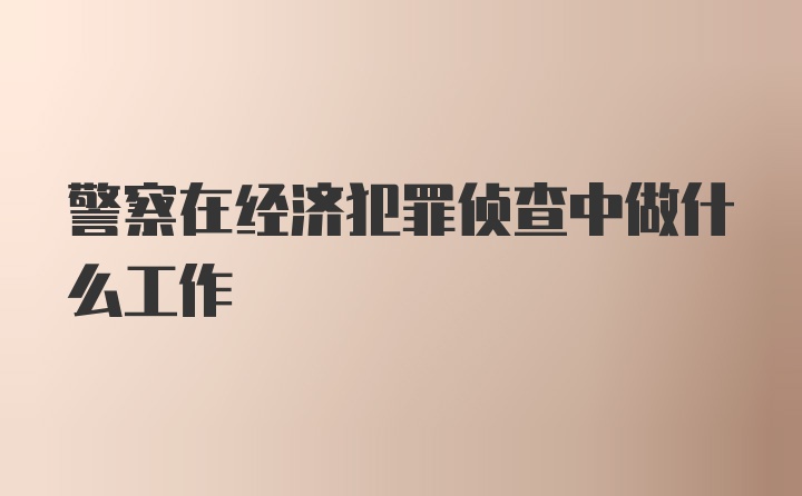 警察在经济犯罪侦查中做什么工作