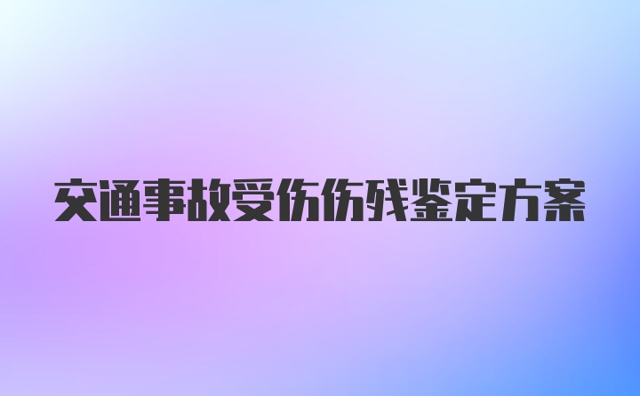 交通事故受伤伤残鉴定方案