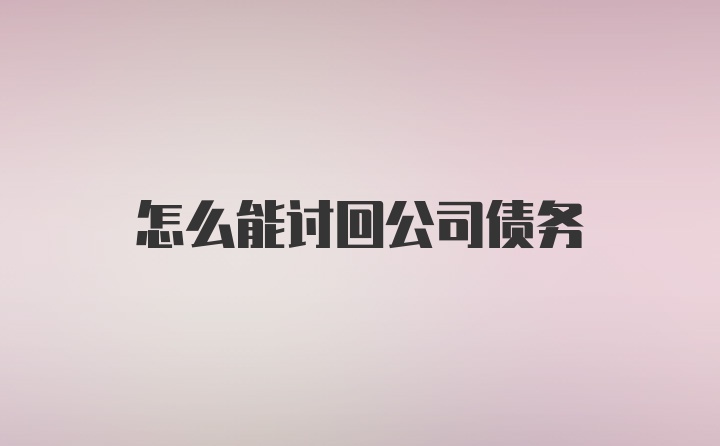 怎么能讨回公司债务