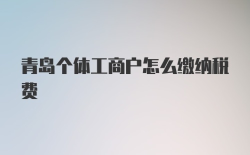 青岛个体工商户怎么缴纳税费