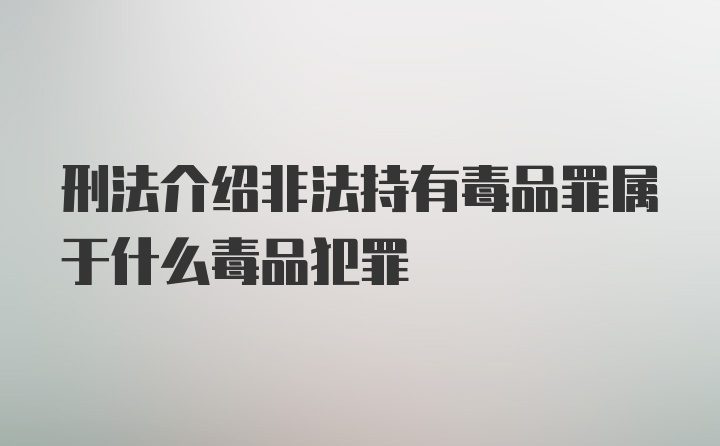 刑法介绍非法持有毒品罪属于什么毒品犯罪