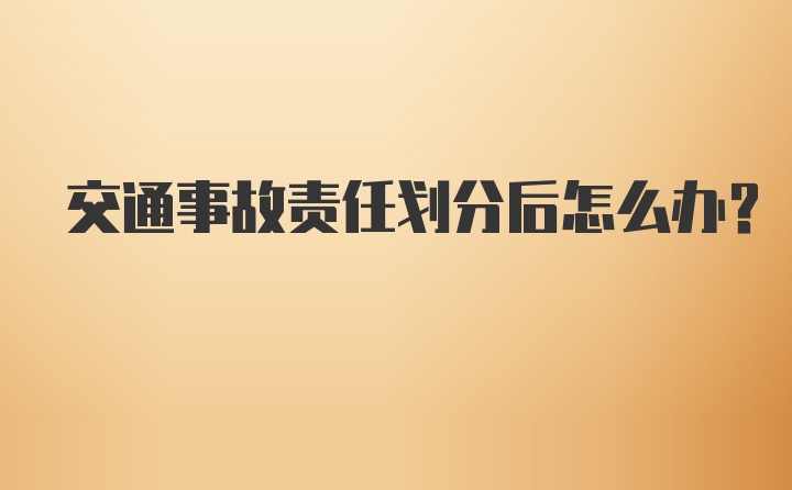 交通事故责任划分后怎么办？