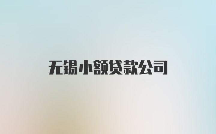 无锡小额贷款公司