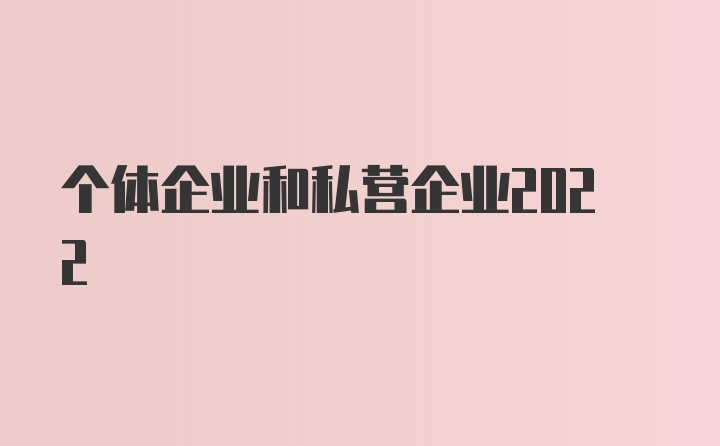 个体企业和私营企业2022