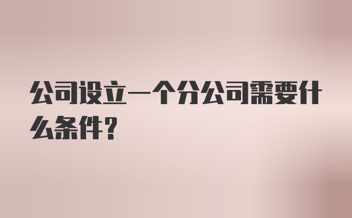 公司设立一个分公司需要什么条件？