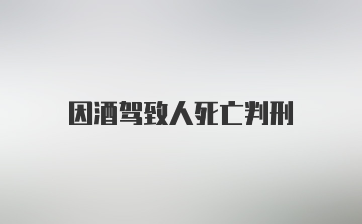 因酒驾致人死亡判刑