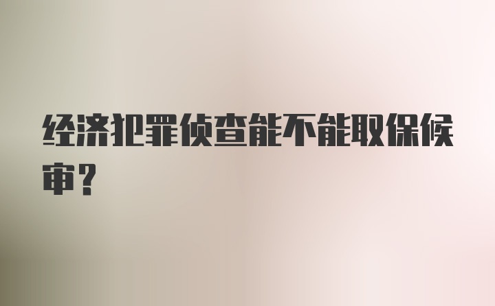 经济犯罪侦查能不能取保候审?