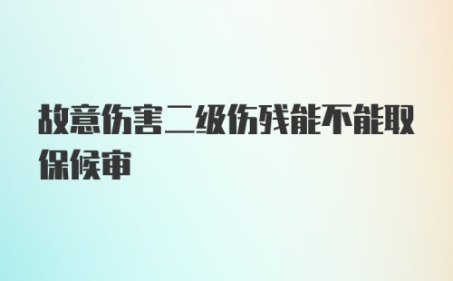 故意伤害二级伤残能不能取保候审