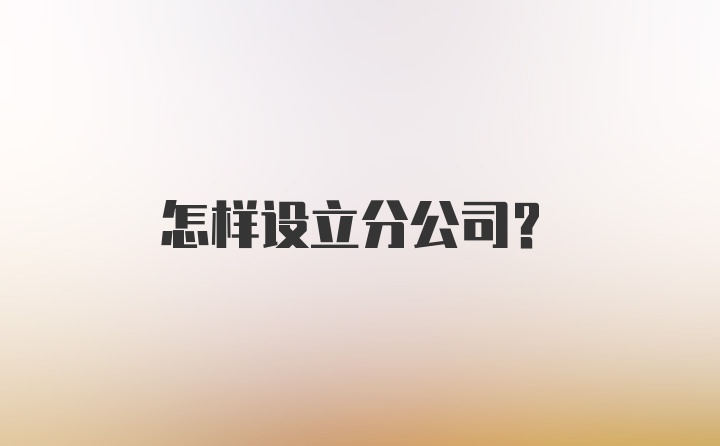 怎样设立分公司?