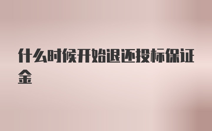 什么时候开始退还投标保证金