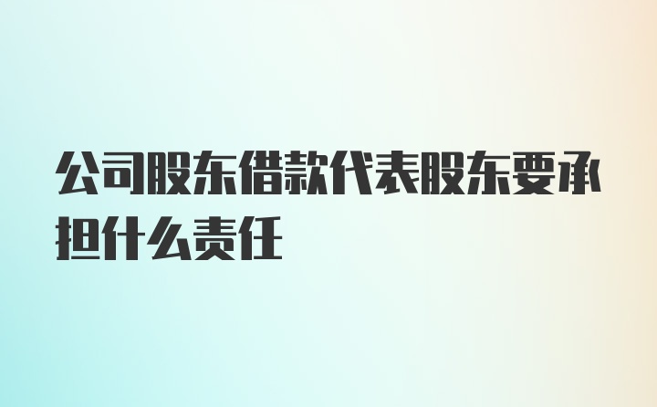 公司股东借款代表股东要承担什么责任