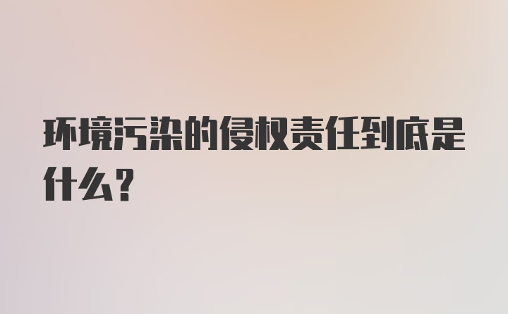 环境污染的侵权责任到底是什么？