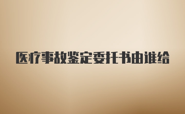 医疗事故鉴定委托书由谁给