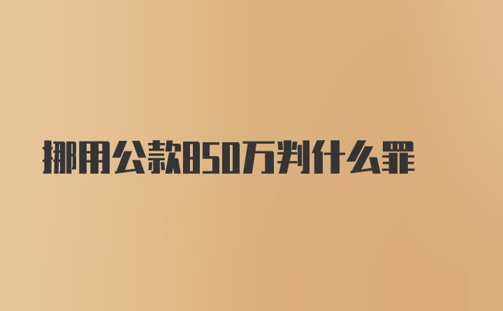 挪用公款850万判什么罪