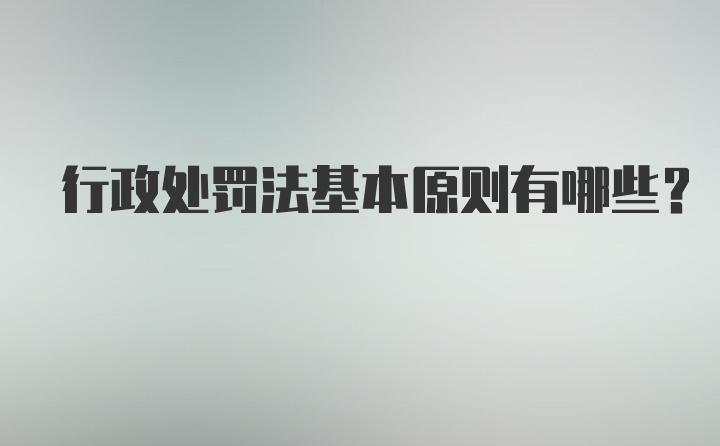 行政处罚法基本原则有哪些？