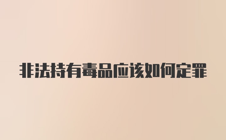 非法持有毒品应该如何定罪