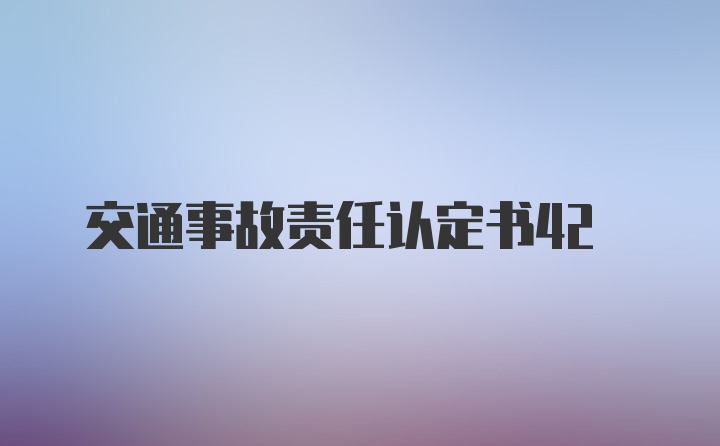 交通事故责任认定书42