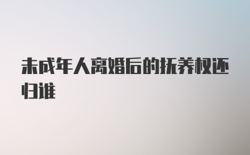 未成年人离婚后的抚养权还归谁