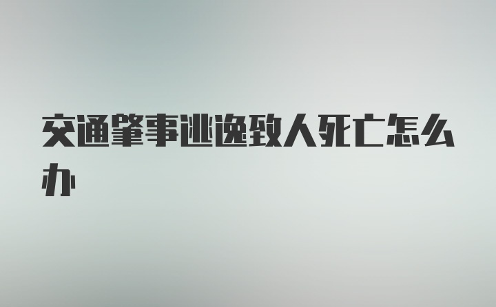 交通肇事逃逸致人死亡怎么办