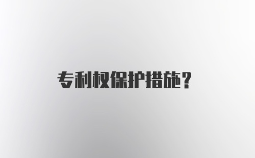 专利权保护措施？