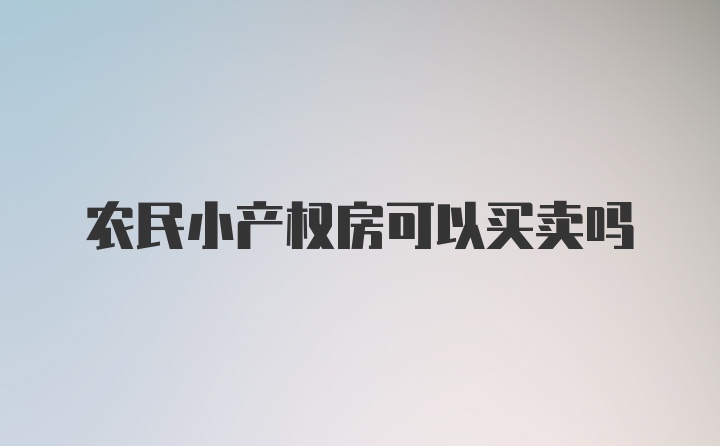 农民小产权房可以买卖吗