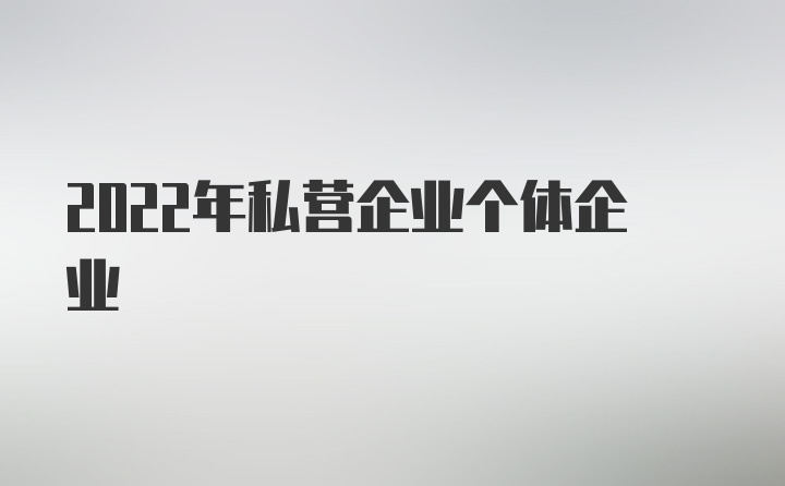 2022年私营企业个体企业