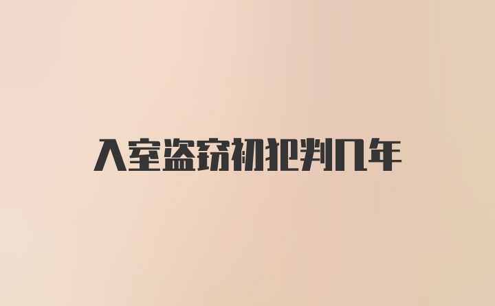 入室盗窃初犯判几年