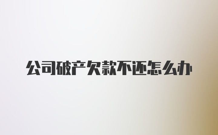 公司破产欠款不还怎么办