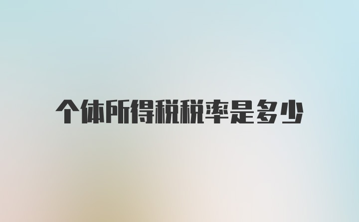 个体所得税税率是多少