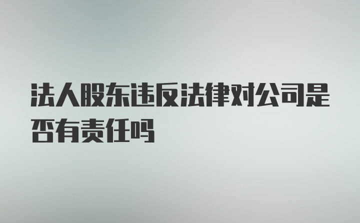 法人股东违反法律对公司是否有责任吗