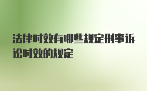 法律时效有哪些规定刑事诉讼时效的规定