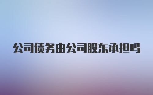 公司债务由公司股东承担吗