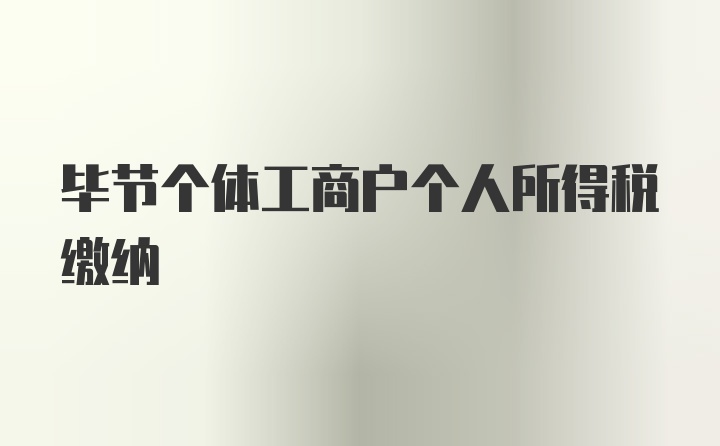 毕节个体工商户个人所得税缴纳