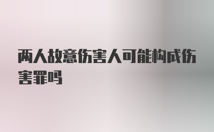 两人故意伤害人可能构成伤害罪吗