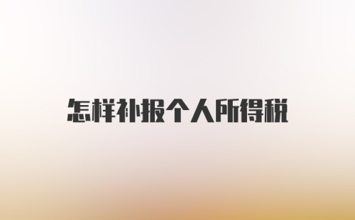 怎样补报个人所得税