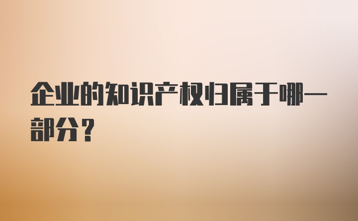 企业的知识产权归属于哪一部分？