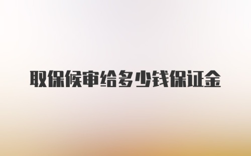 取保候审给多少钱保证金