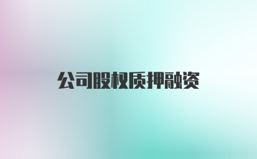 公司股权质押融资