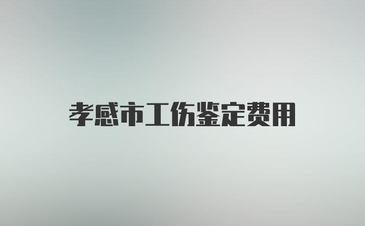 孝感市工伤鉴定费用