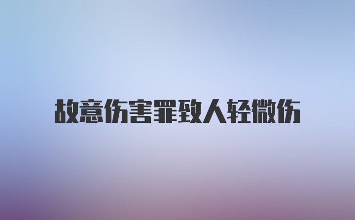 故意伤害罪致人轻微伤