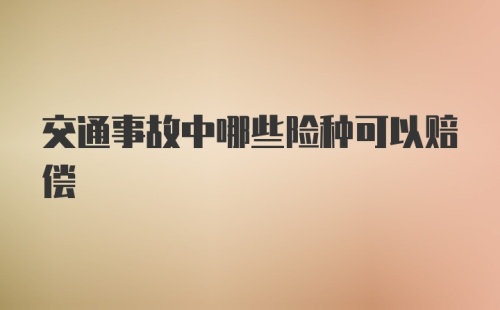 交通事故中哪些险种可以赔偿