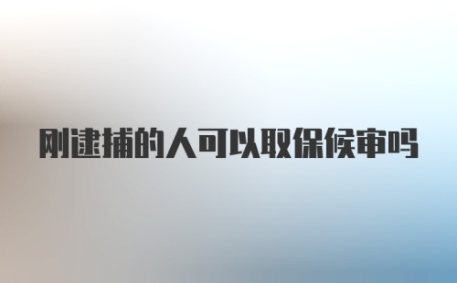 刚逮捕的人可以取保候审吗