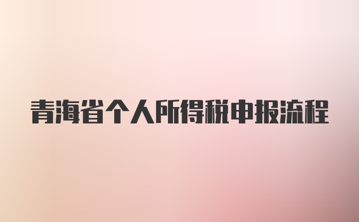 青海省个人所得税申报流程