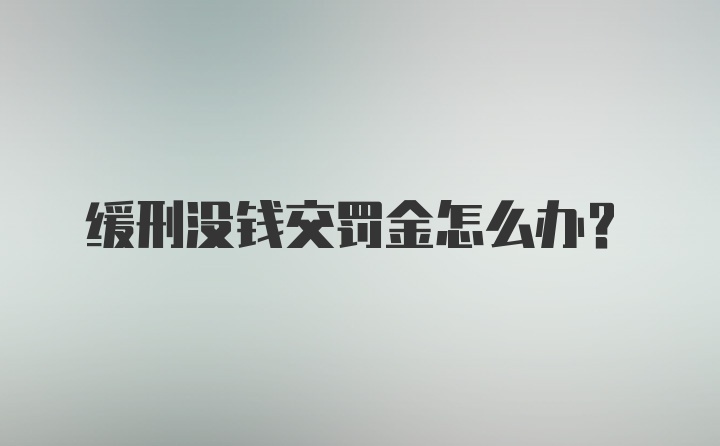 缓刑没钱交罚金怎么办？