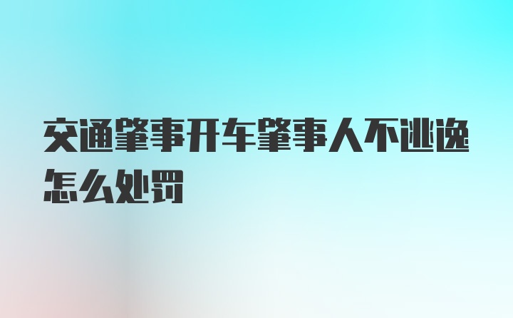 交通肇事开车肇事人不逃逸怎么处罚