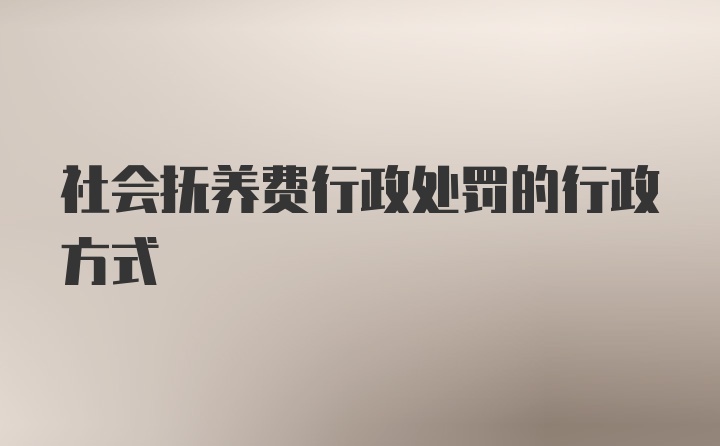 社会抚养费行政处罚的行政方式