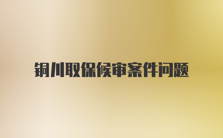 铜川取保候审案件问题