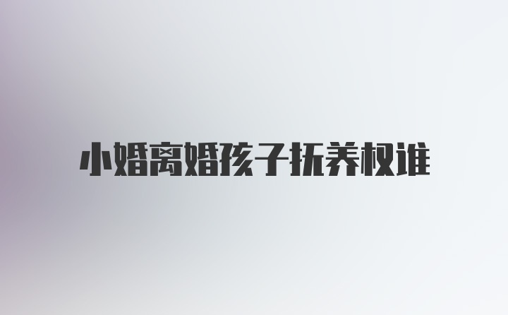 小婚离婚孩子抚养权谁